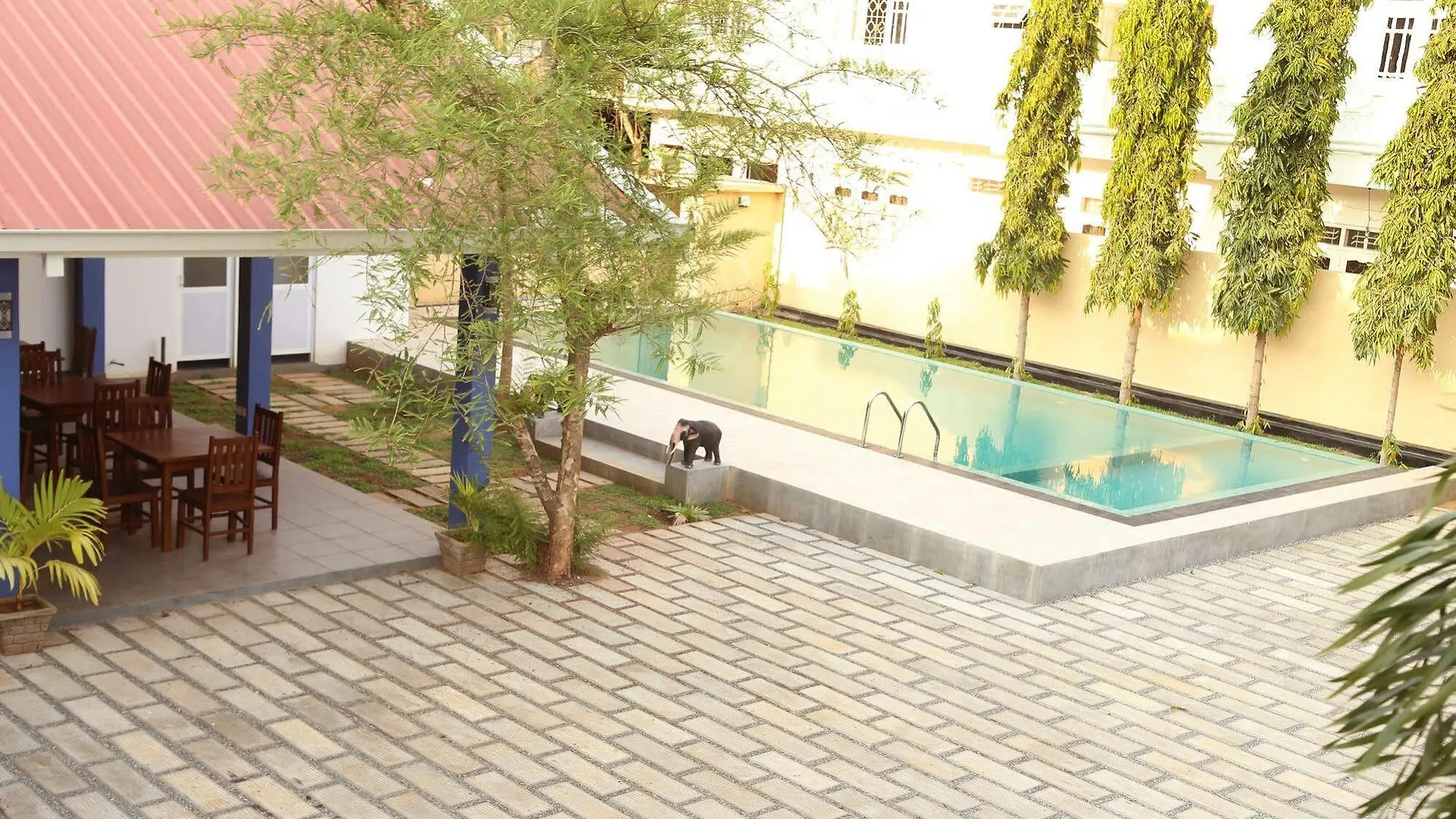 Blue Elephant Boutique Hotel Негомбо