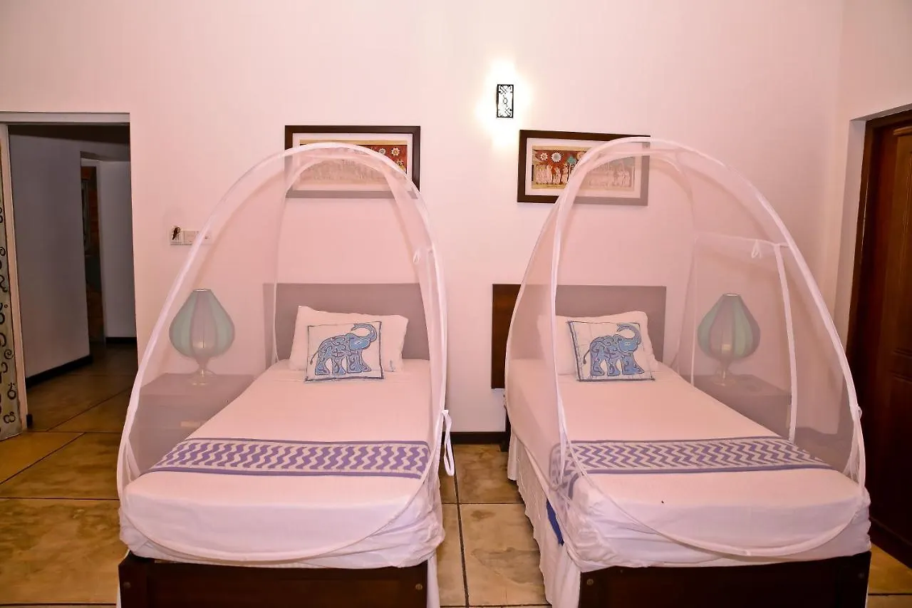 נגומבו Blue Elephant Boutique Hotel