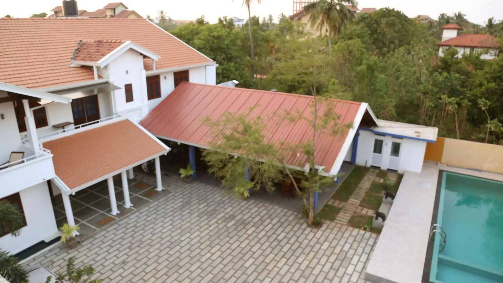 Blue Elephant Boutique Hotel Negombo 3*,  Sri Lanka
